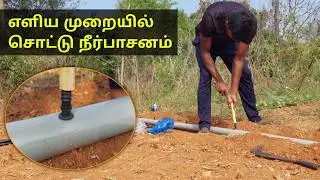 Drip Irrigation Installation Made EASY!