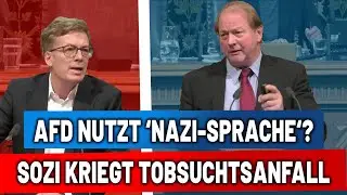 Migrantenmob ist NS-Sprache? SPD-Mann kriegt Tobsuchtsanfall nach AfD-Migrationskritik!
