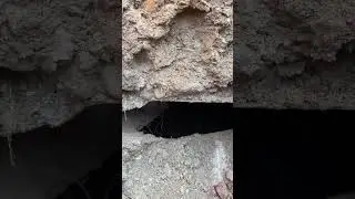 Uncovering an incorrectly installed dry well.