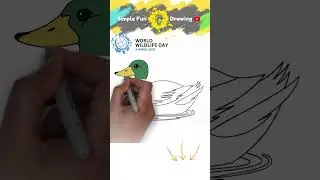 How to Draw Swimming Duck (Simple and Easy Drawing)