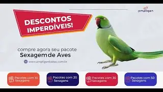 Super Descontos em Pacotes de Sexagem de Aves - Ampligen