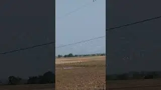 Ribuan bangau membentuk formasi #karawang #sawah #bangau #flamingo #viralvideo  #bimbelfokus