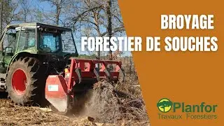 Broyage forestier de souches - Planfor Forêt-Bois