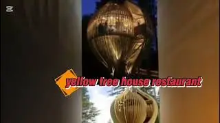 Duniya k 10 tree houses