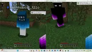 How to use prism launcher (java on splitscreen and more)