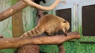 Hagenbecks Tierpark | Hamburg Germany Travel Vlog