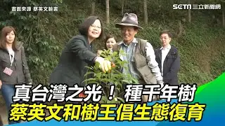 真台灣之光！種千年樹…蔡英文和「樹王」倡生態復育｜三立新聞網SETN.com