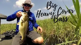 Big Summer Bass - Heavy Cover Flipping