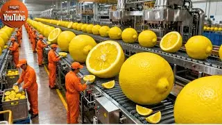 I Spent 30 Days Inside a Factory and Here's What I Discovered