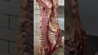 Splitting a Beef into Quarters #shorts