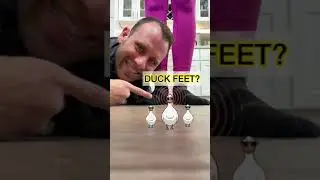 Как исправить утиную🐥лапку!