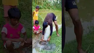 catfish pakerneka trap keise taiyar kiya🐟🤔(255) village fishing trap #catfish