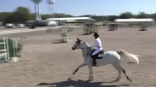 Video of LEUCOJUM ridden by JULIA CHARTIER from ShowNet!