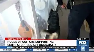 Rochester Police K9 unit sniffs out House of Guitars