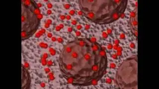 Adsorbers - Adsorption