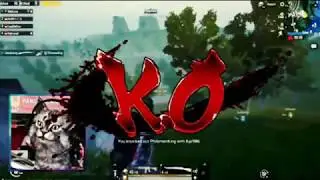 Kumpulan Video Lucu Ebbo Kucing- PUBG MObile
