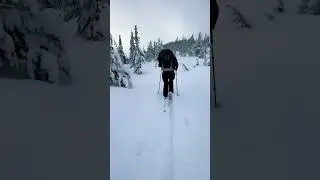 Backcountry skiing is so much fun! #cool #skiing #adventure