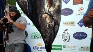 CatchStat | 2011 Bisbee's Black & Blue Tournament  Fish #10671