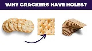 Do you know why crackers have holes?