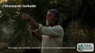 Vad är hackade obesprutade olivblad?