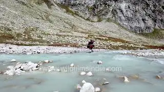 River crossing: Freezing cold Himalayan stream crossed by trekkers at Harsil, en route Lamkhaga Pass