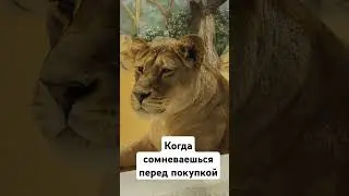 Когда сомневаешься перед покупкой #family #юмор #animals