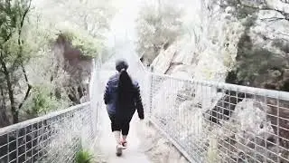 Leven Canyon Tassie