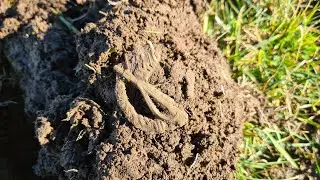 WW2 Metal Detecting: German relics