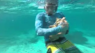 Conch Fishing San Pedro, Belize