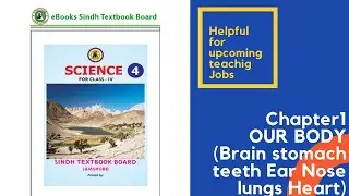Chapter 1 Our body  Class 4 Science | Sindh text book board jamshoro