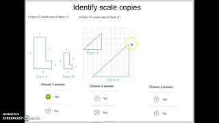 Identify scale copies