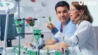 Ultimate Guide to TN Engineering Admissions