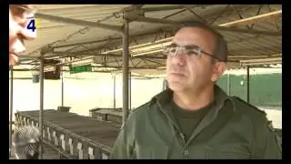 Εκτροφείο πέρδικας