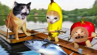 Cat Memes Diary | Fishing Day | Cat Comedy Club