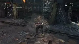 The collective IQ of Bloodborne beasts.