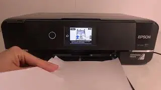 Epson XP-970: How to Install Paper - Simple Paper Loading Guide