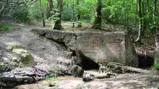 Broken Bridge