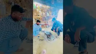दोस्त और मेने बनाई चाय ☕️🤗 #vairlvlogs #dosti #minivlog #vairlvlogs #vlog #vlogger