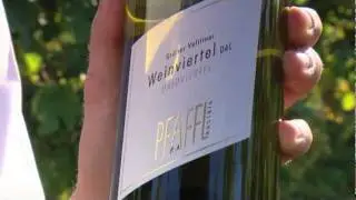 Gr&uuml;ner Veltliner Weinviertel DAC Haidviertel - Pfaffl
