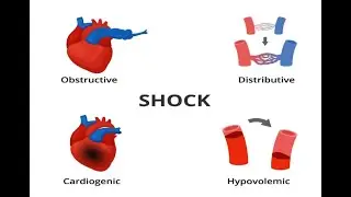 Shock and first aid treatment