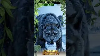 FROZEN KINGS ❄️🐘 | The Last Breath of the Ice Age | #UntamedEchoesTVTi&ecirc;u đề