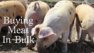 Buying Local & Humanely Raised Meat In Bulk