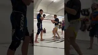 MMA Sequenz mit Niko Samsonidze