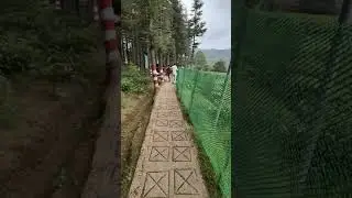 Tea Garden Bhowali - Beautiful Tourist Attraction | Near to Nainital and Mukteshwar #nanital