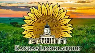 Senate Chamber Proceedings 02/03/2026
