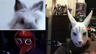 Angry Rabbit Reacts To Rabbit Kimchis Secret Got Talent Audition
