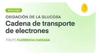 Cadena de transporte de electrones | Biología | Oxidación de la glucosa | V5 | Egg Educación