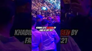Khabib Nurmagomedov Gets MOBBED By Fans At UFC 321 #UFC #MMA #Shorts