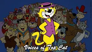 Voice VS Voice - Top Cat