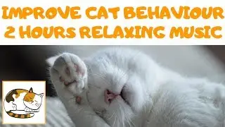 Improve Cat Behaviour with 2 Hours Relaxing Music